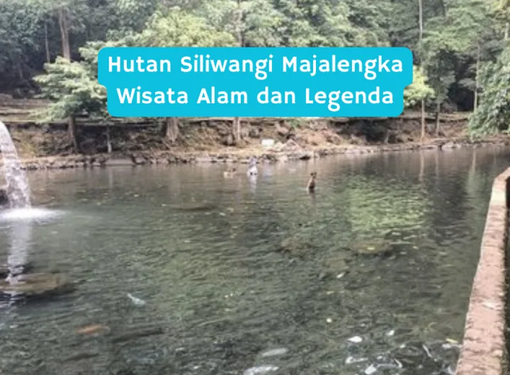 hutan siliwangi majalengka