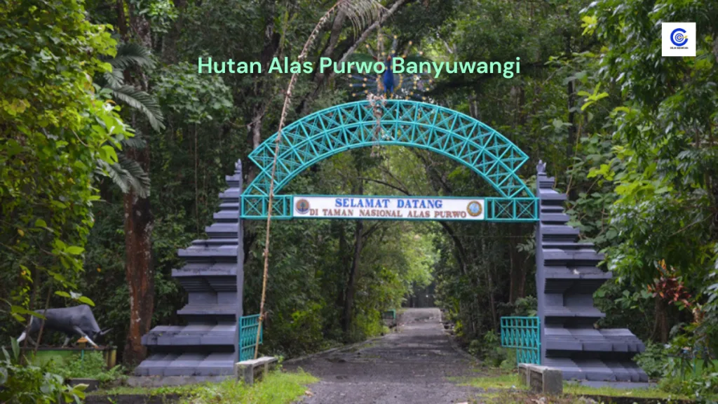 hutan alas purwo banyuwangi