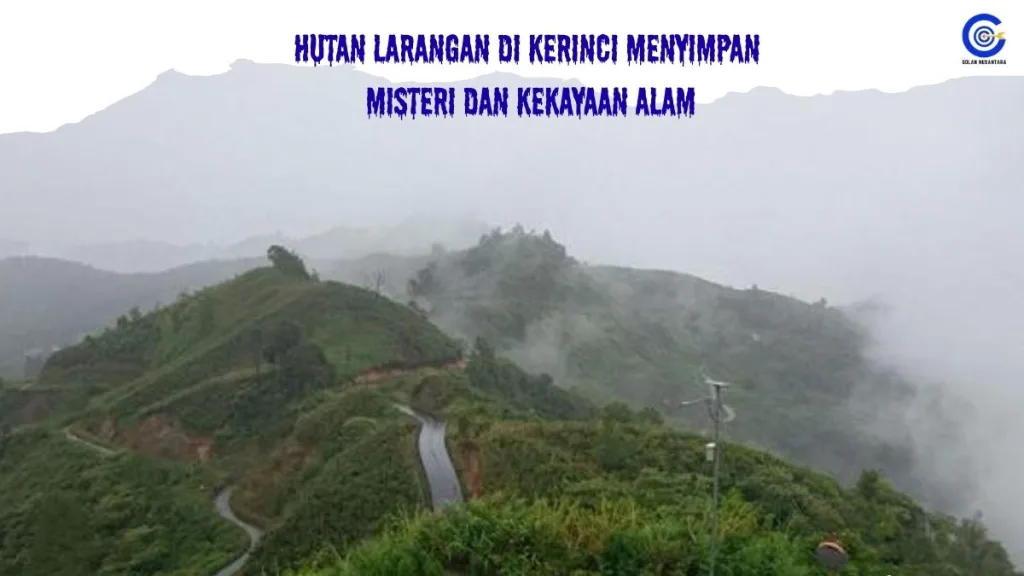 hutan larangan kerinci