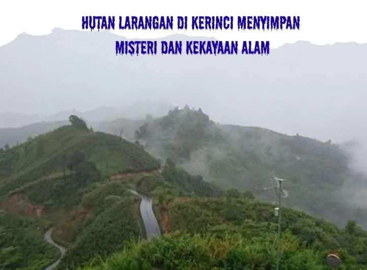 hutan larangan kerinci