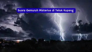 teluk kupang