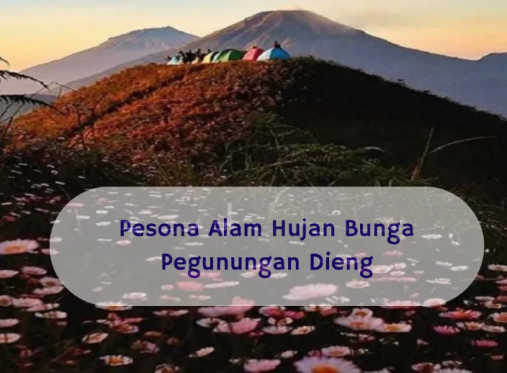 hujan bunga pegunungan dieng