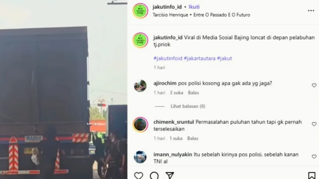 bajing loncat di koja