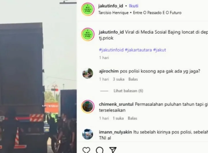 bajing loncat di koja