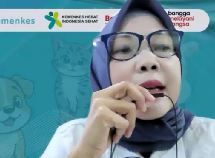 waspadai leptospirosis musim hujan