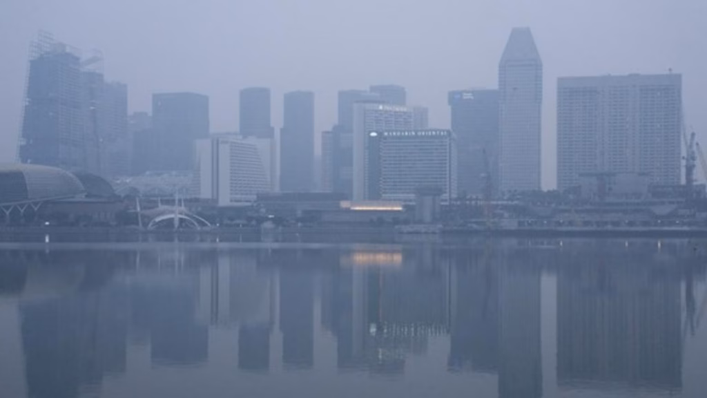 dampak kabut asap kebakaran hutan