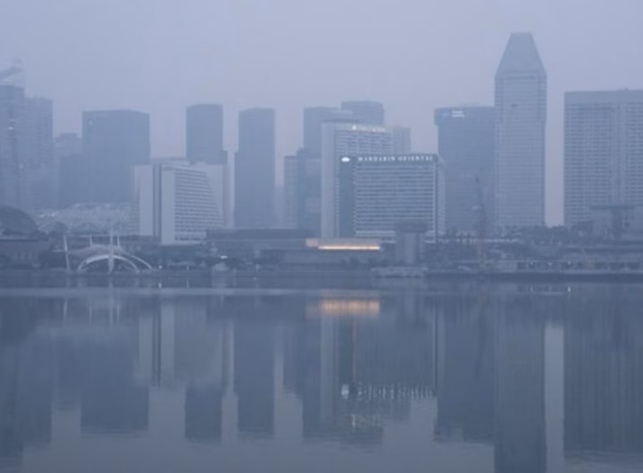dampak kabut asap kebakaran hutan