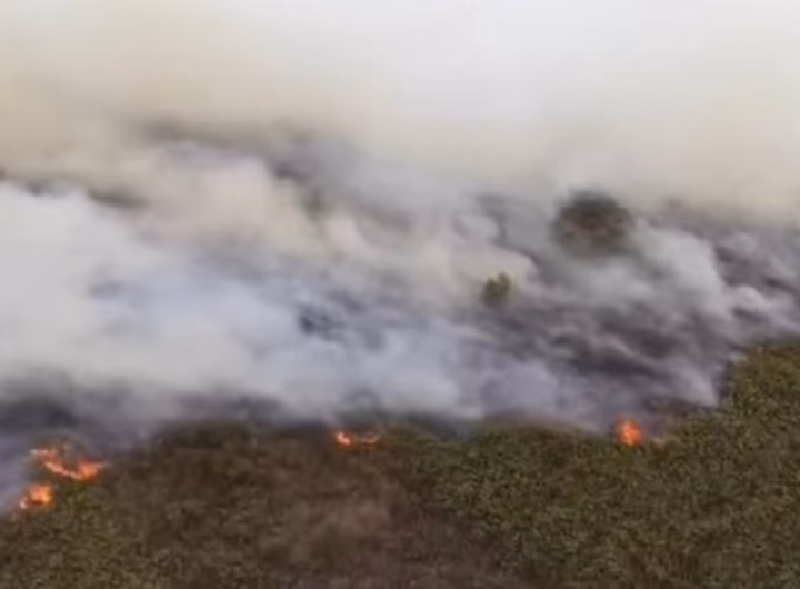Karhutla di Kalimantan